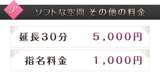 「料金システム」