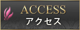 「access」
