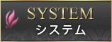 「system」